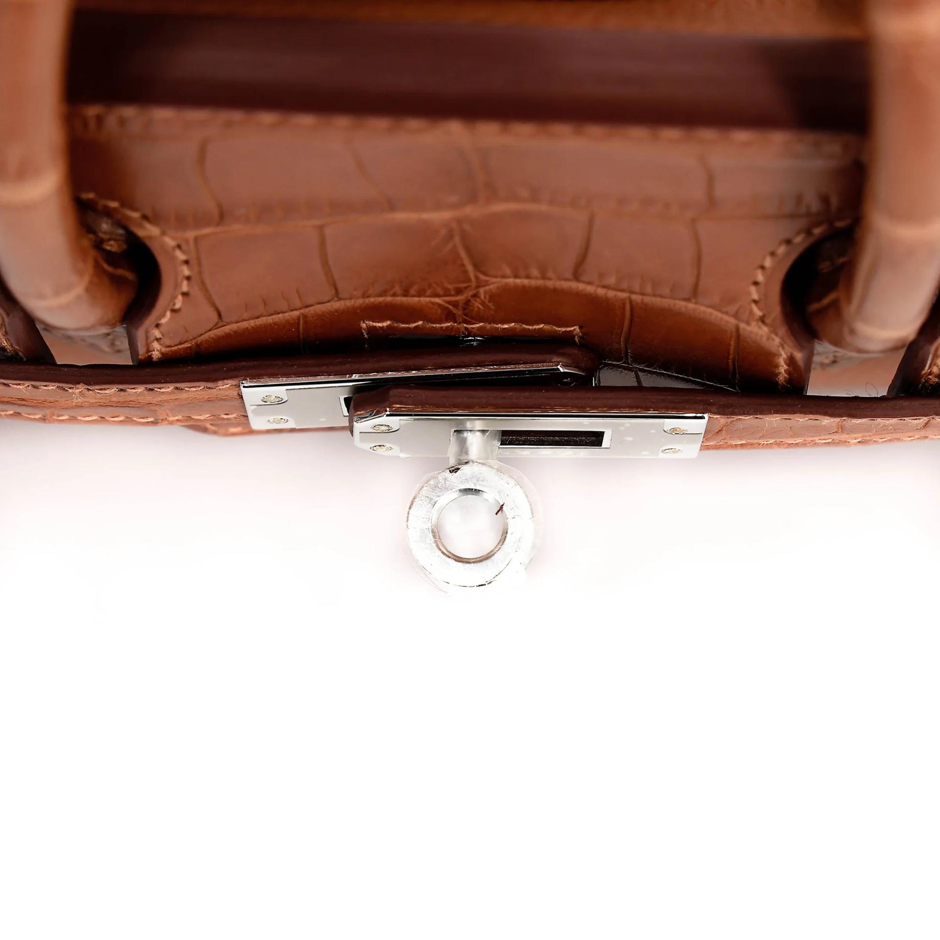 Brand New ( Rank N ) HERMÈS Birkin 25 Touch Gold (37) Togo Matte Alligator Palladium hardware G (2026) - 10