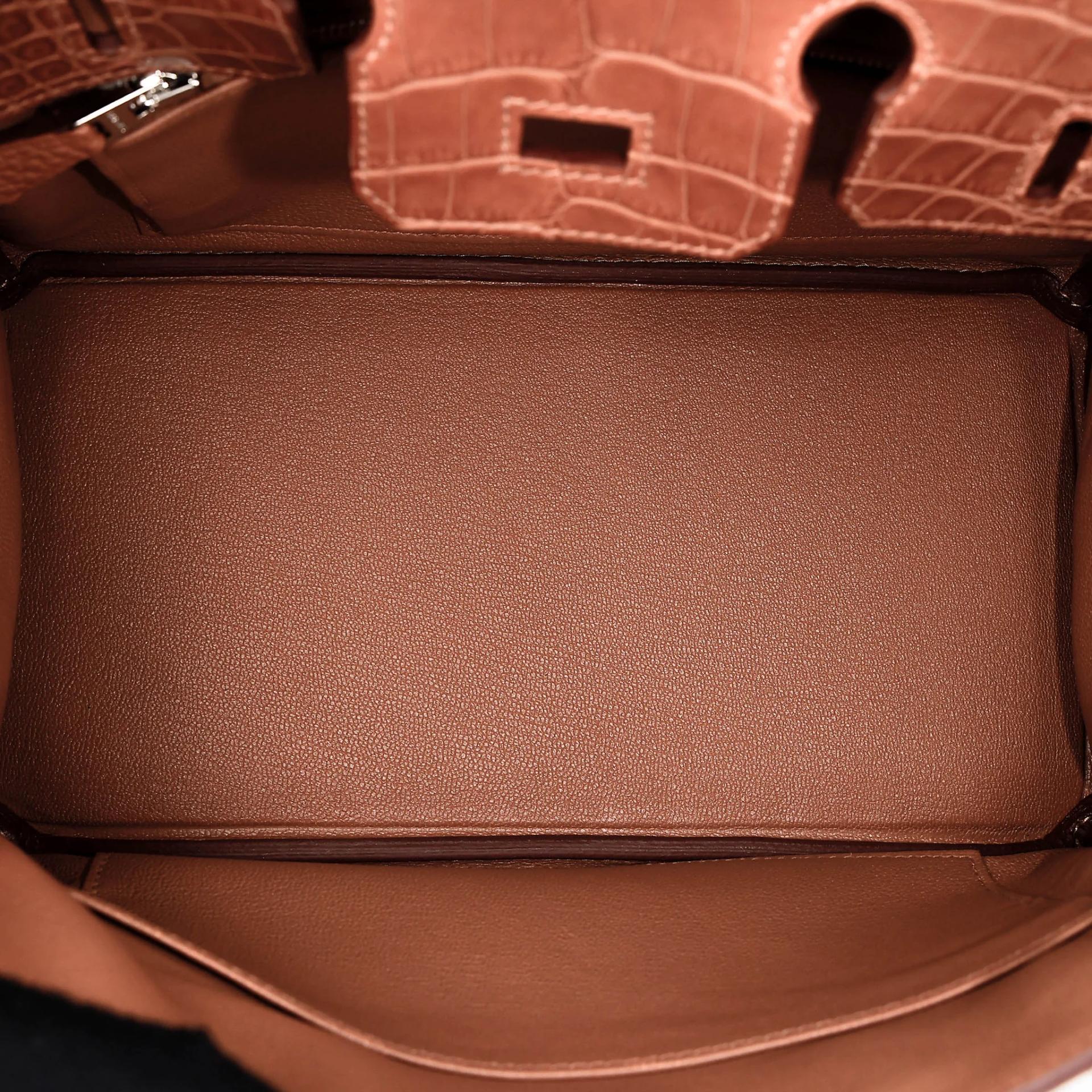 Brand New ( Rank N ) HERMÈS Birkin 25 Touch Gold (37) Togo Matte Alligator Palladium hardware G (2026) - 17