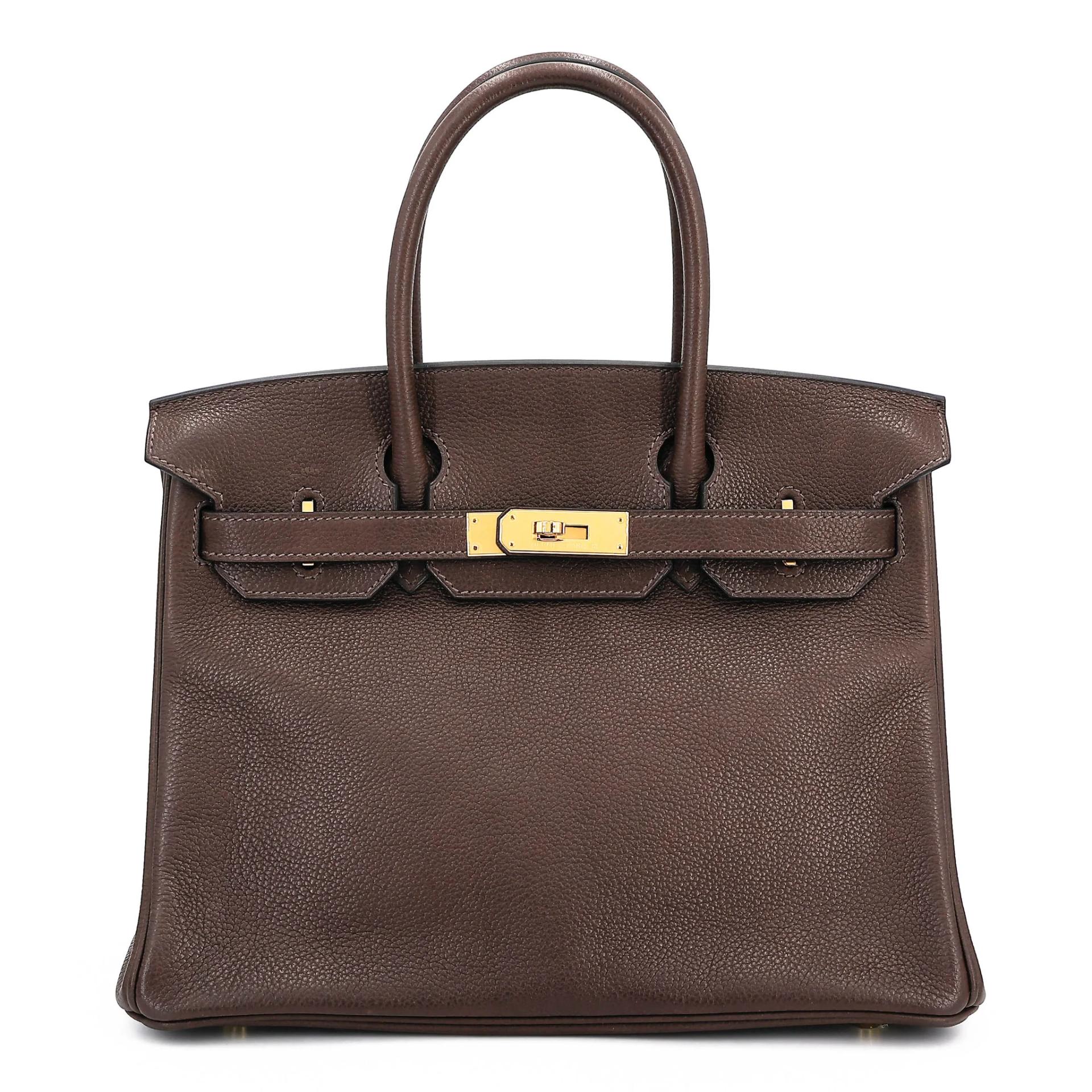 Birkin 30 Ebene (46)