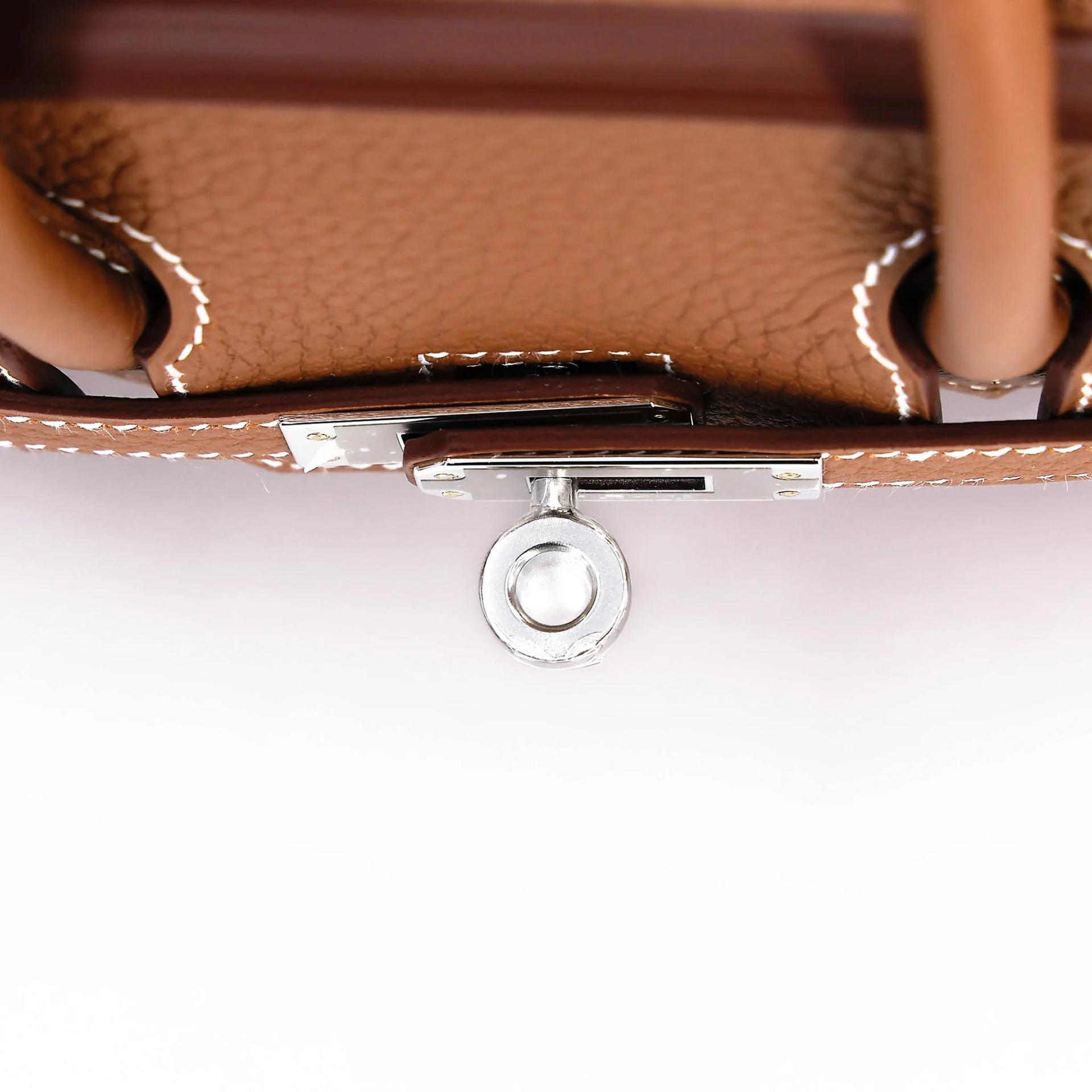 Brand New ( Rank N ) HERMÈS Birkin 25 Gold (37) Togo Palladium hardware G (2026) - 9