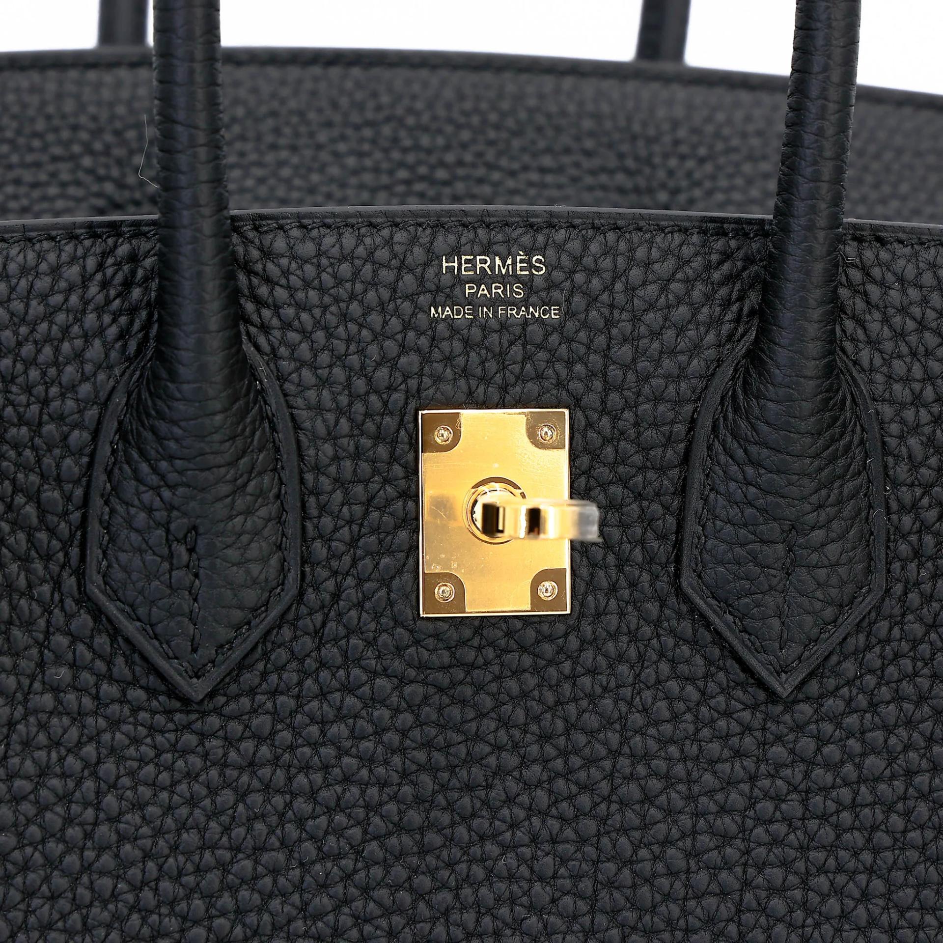 Brand New ( Rank N ) HERMÈS Birkin 25 Noir (89) Togo Gold hardware K (2025) - 10