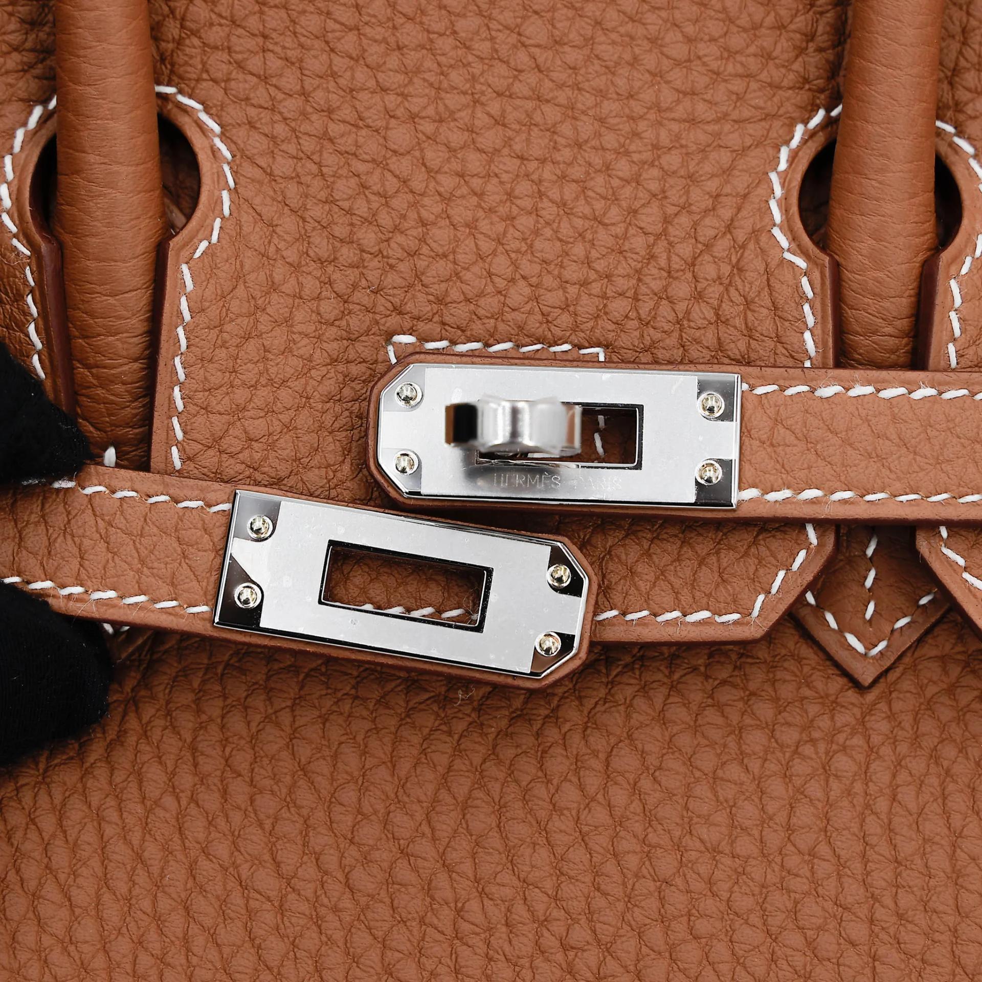 Brand New ( Rank N ) HERMÈS Birkin 25 Gold (37) Togo Palladium hardware G (2026) - 8
