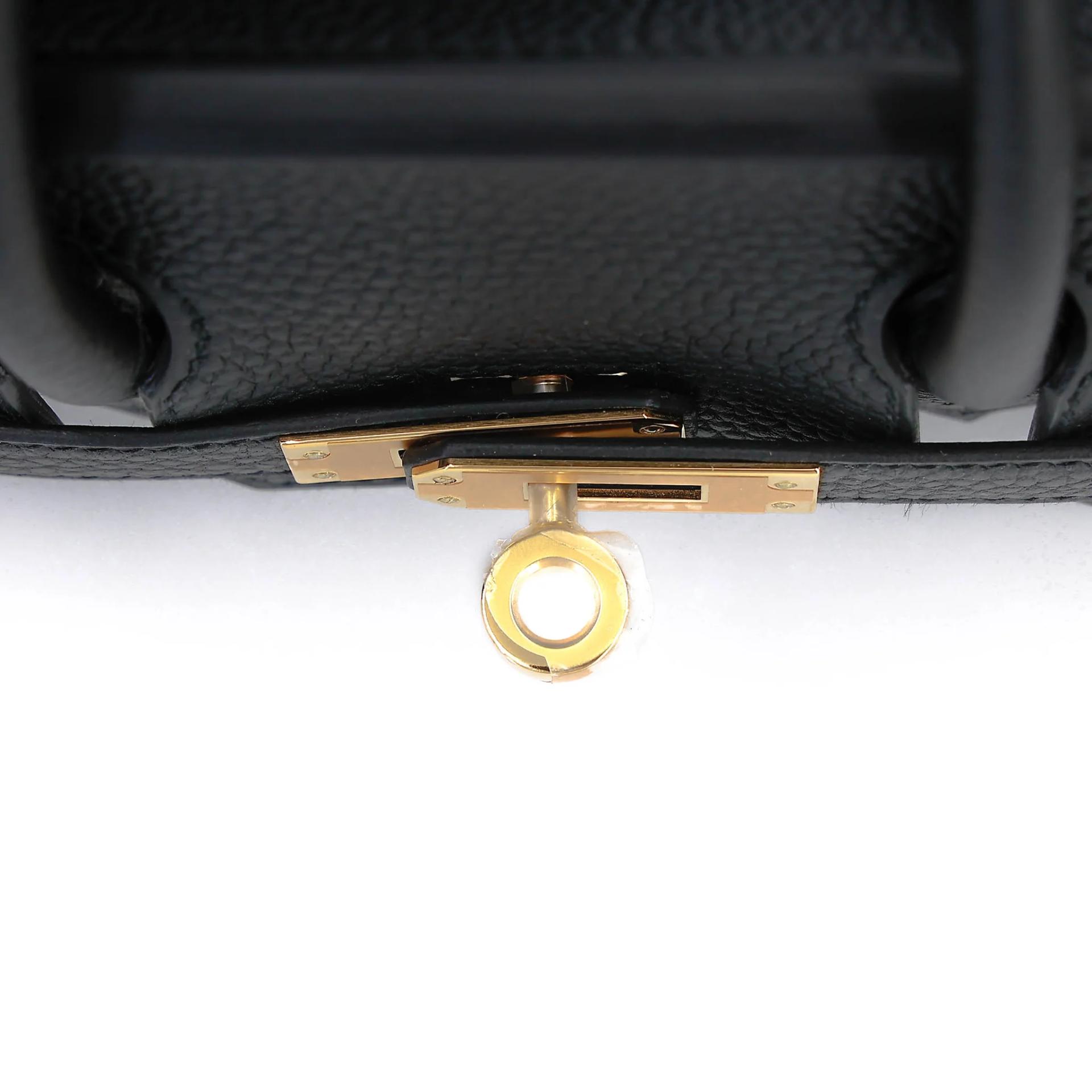 Brand New ( Rank N ) HERMÈS Birkin 25 Noir (89) Togo Gold hardware K (2025) - 9