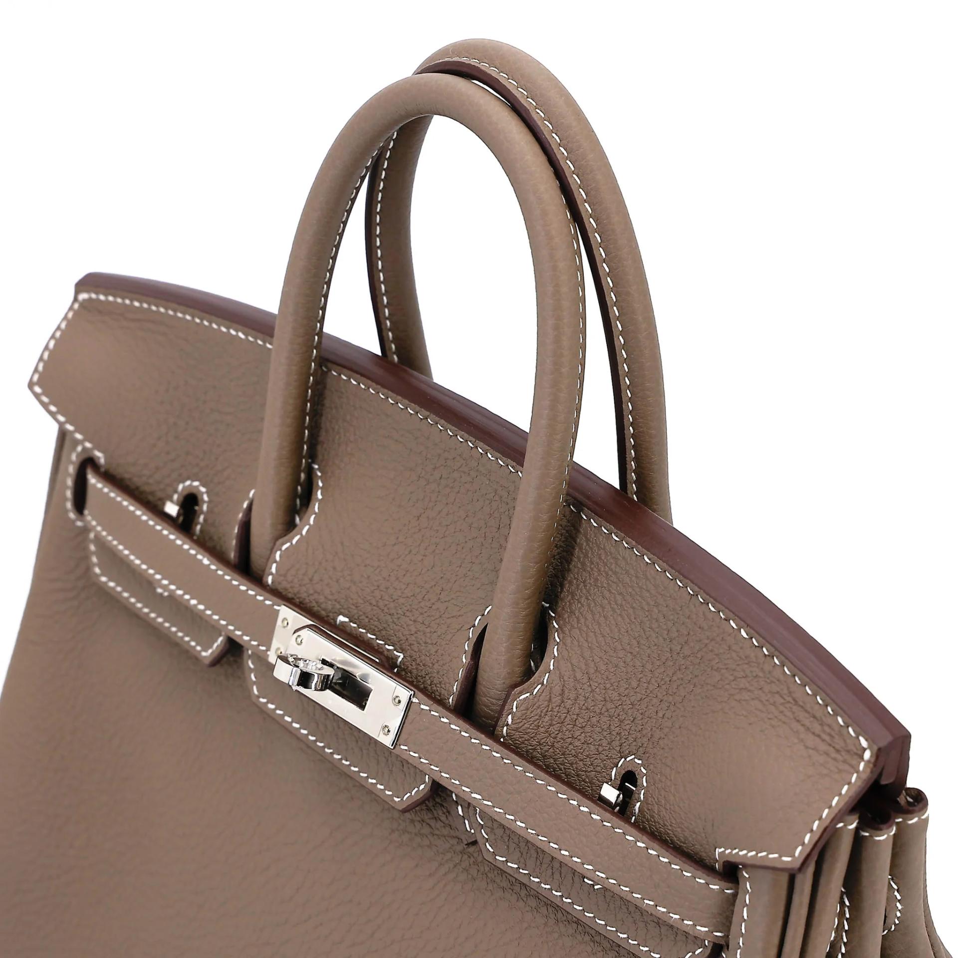 Brand New ( Rank N ) HERMÈS Birkin 25 Etoupe (18) Togo Palladium hardware K (2025) - 3