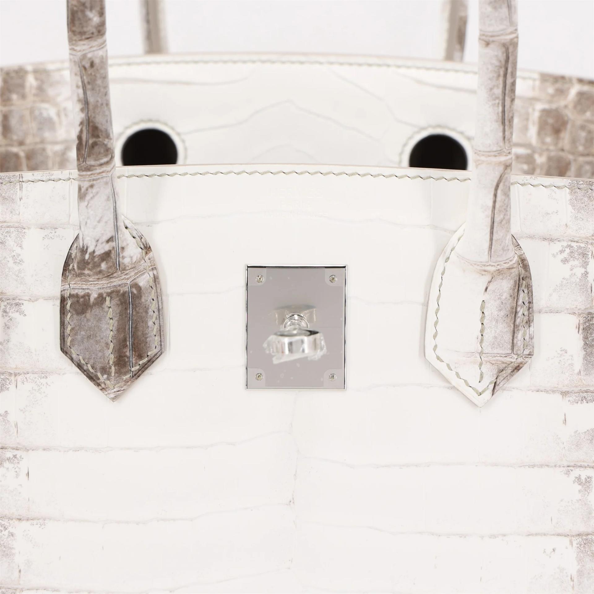 Brand New ( Rank N ) HERMÈS Limited Edition Birkin 30 Himalaya Himalaya Matte Niloticus Crocodile Palladium hardware K (2025) - 10