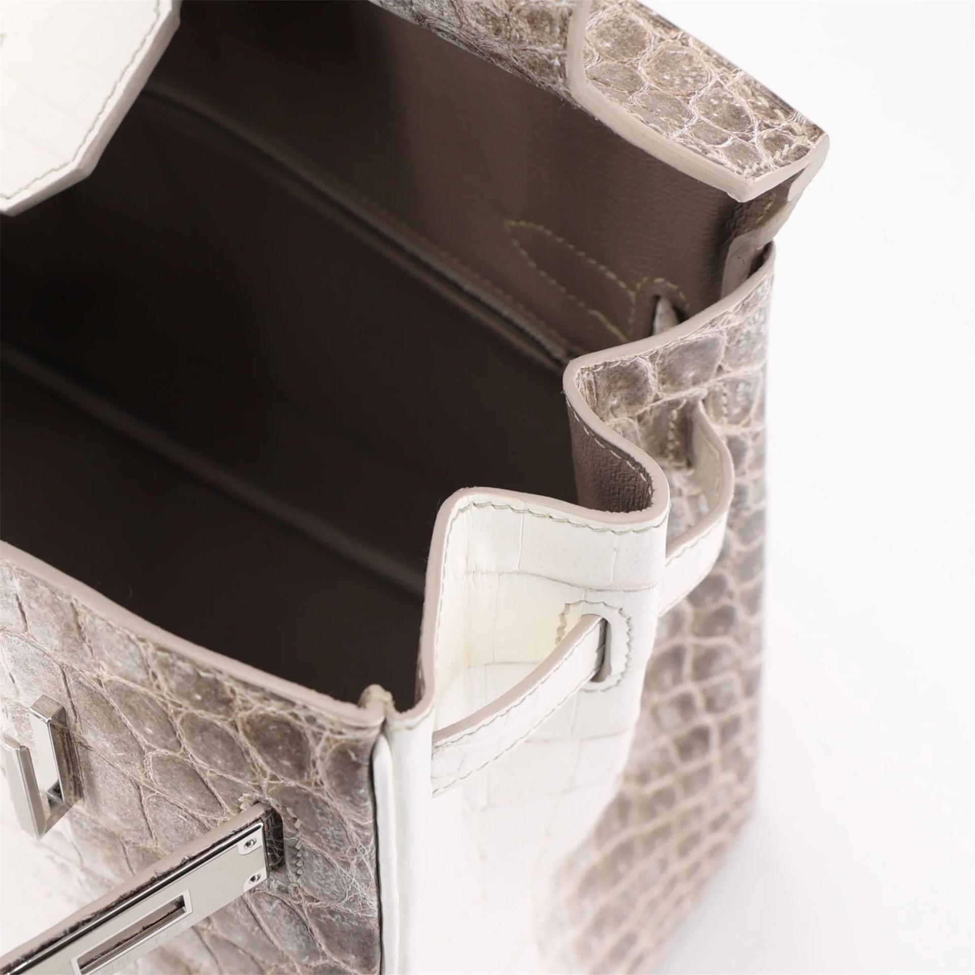 Brand New ( Rank N ) HERMÈS Limited Edition Birkin 30 Himalaya Himalaya Matte Niloticus Crocodile Palladium hardware K (2025) - 13