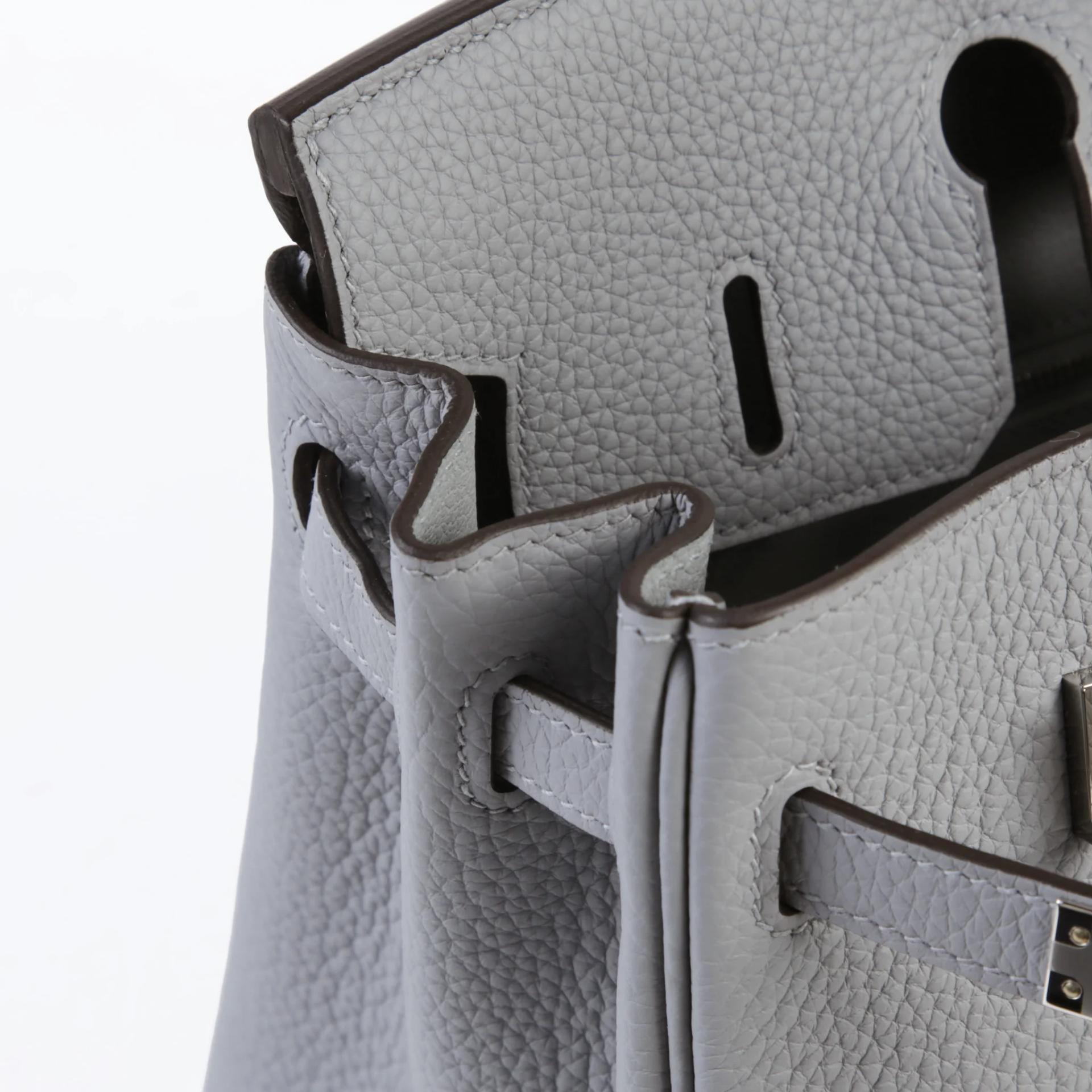 Brand New ( Rank N ) HERMÈS Birkin 25 Gris Pantin (P0) Togo Palladium hardware G (2026) - 12