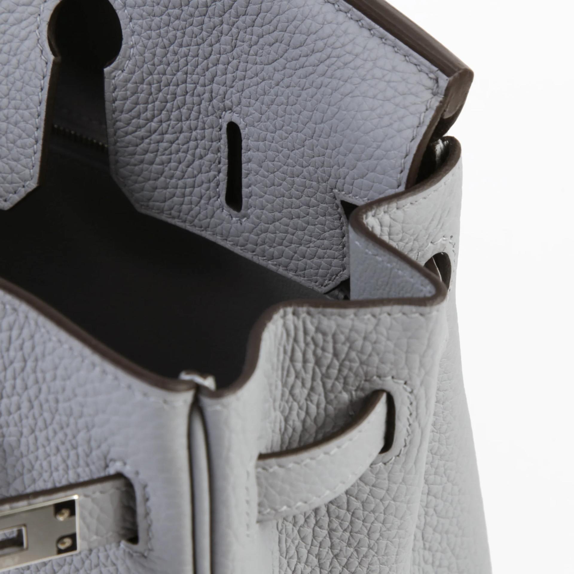 Brand New ( Rank N ) HERMÈS Birkin 25 Gris Pantin (P0) Togo Palladium hardware G (2026) - 11