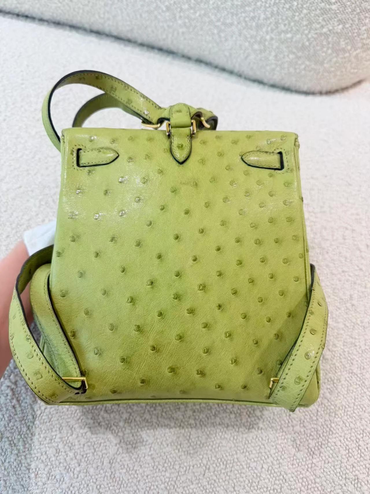 Very Good ( Rank A) HERMÈS Kelly Ado PM Vert Anis (66) Ostrich Gold hardware Square D (2000) - 7