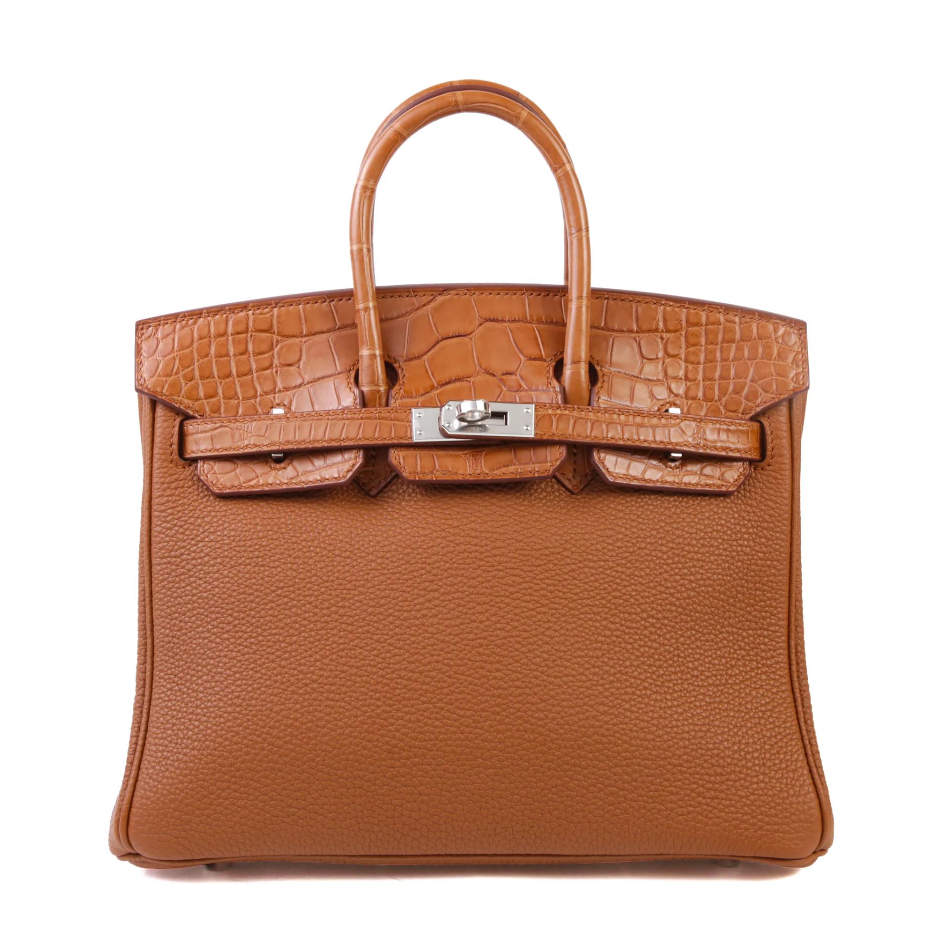 Birkin 25 Touch Gold (37)