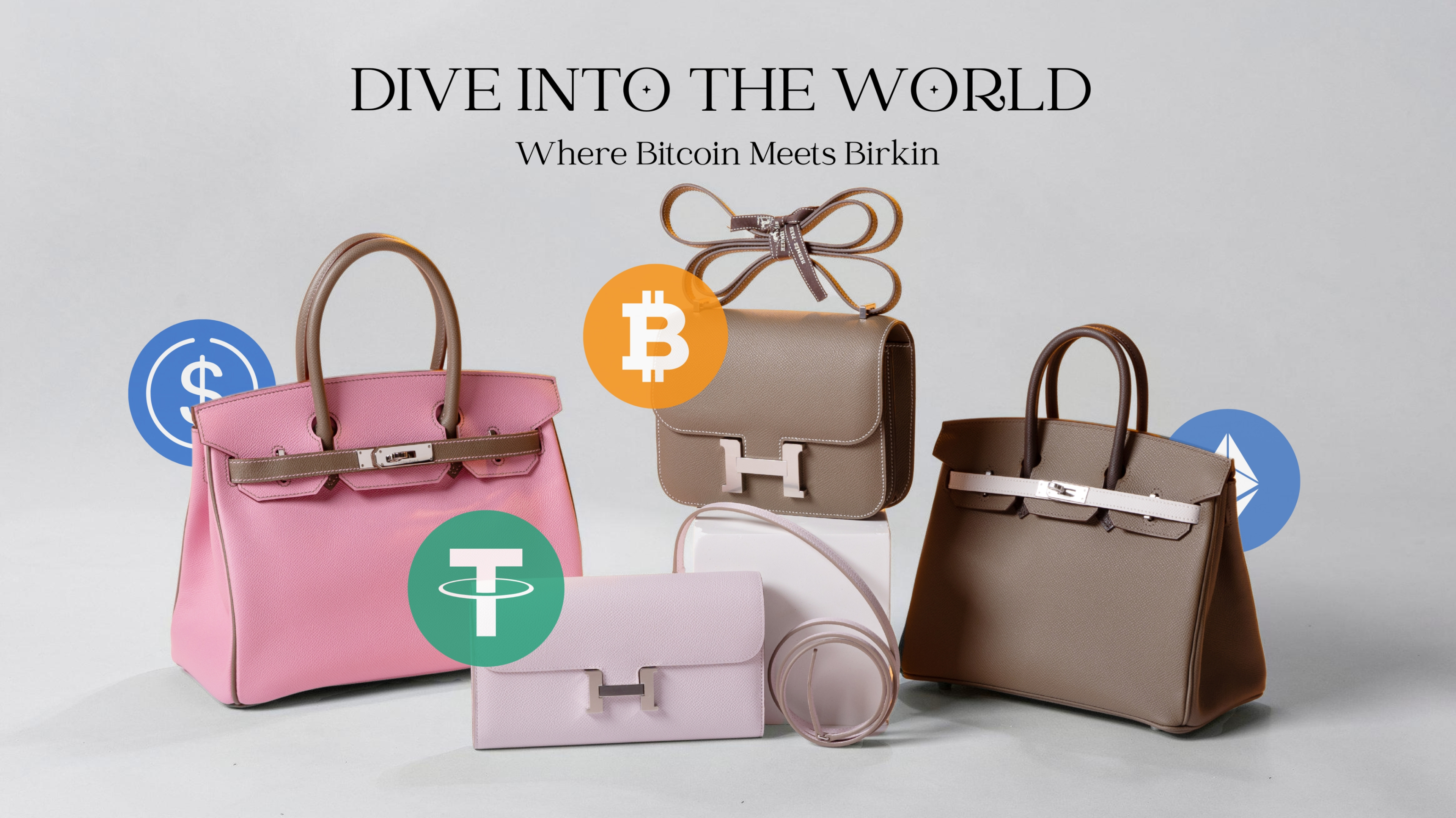 DIVEINTO THE WORLD   Where Bitcoin Meets Birkin